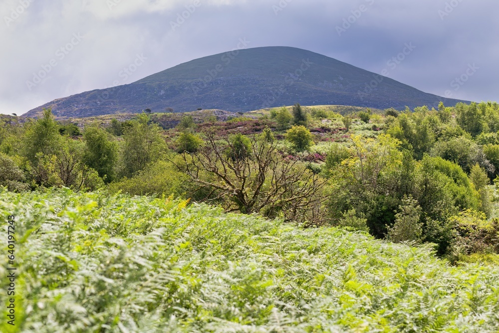 Fototapeta premium landscape with sky and clouds and hills