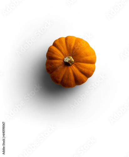 Wallpaper Mural Pumpkin Torontodigital.ca