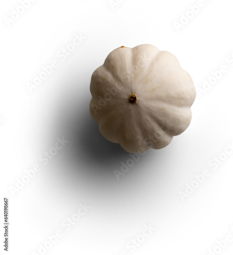 White Pumpkin Upside Down photo