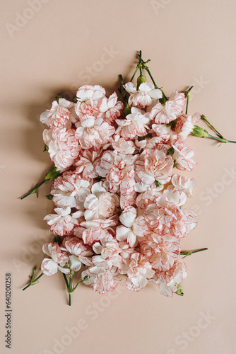 Wallpaper Mural Pink carnation flowers on pastel pink background. Creative square flat lay, top view minimal floral composition Torontodigital.ca