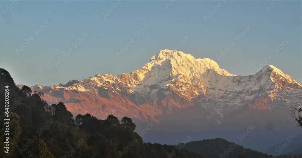 mardi himal journey, nepal