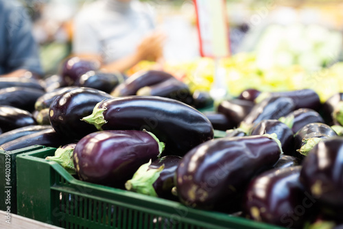Photography Fresh purple eggplant on market counter