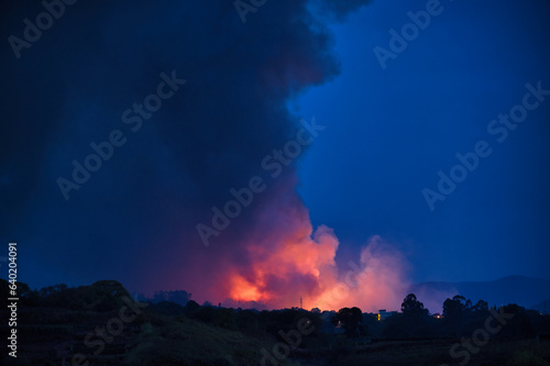 View of burning wild red fire with smoke in forest against blue sky in night