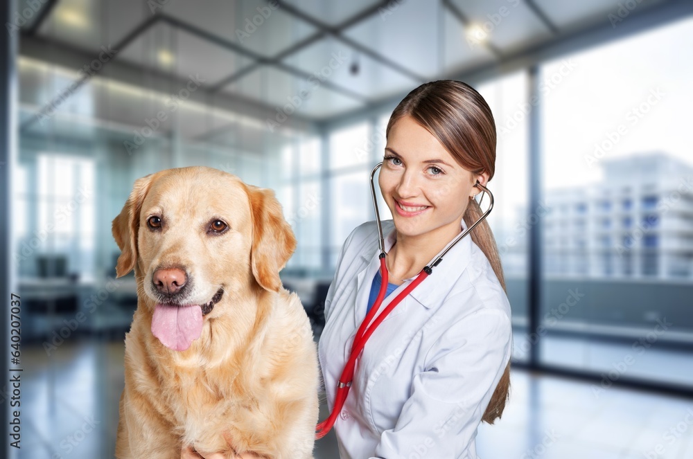 Veterinarian examining young cute dog in clinic, AI generated image