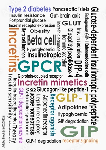 G protein-coupled receptor, Incretins, GLP-1, GIP, DPP-4, Incretin mimetics, Incretin effect, Enteroendocrine cells, GPCR, Insulin receptor, Insulin resistance, photo