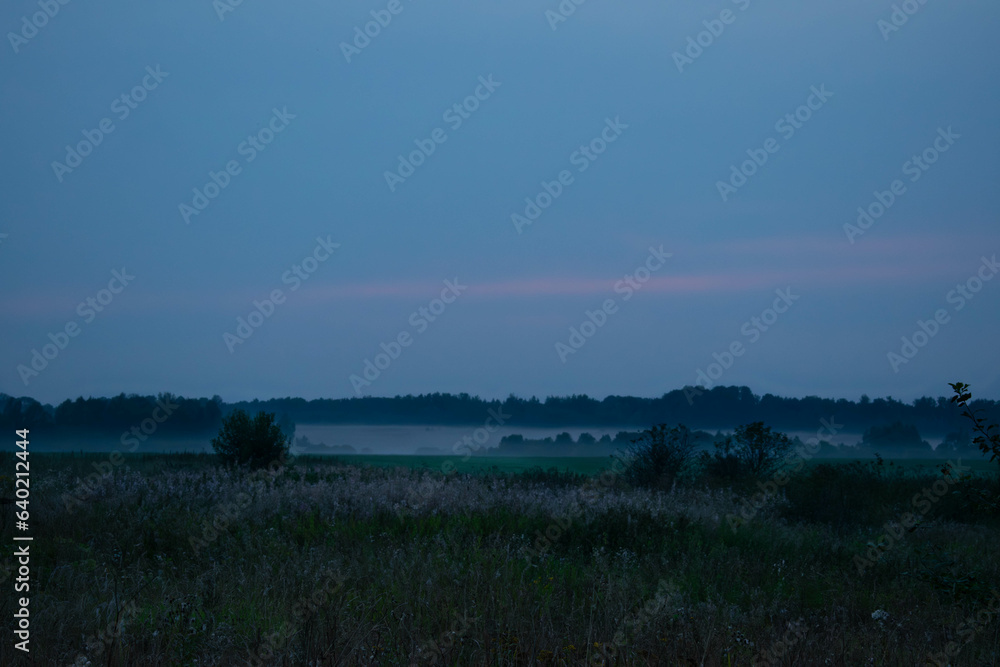 Foggy evening field