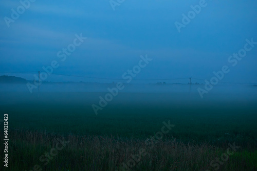 Foggy evening field