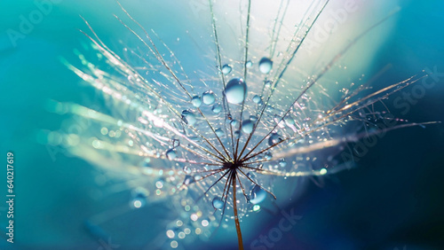 Beautiful background with soft focus. Drops of dew sparkle on dandelion in rays of light