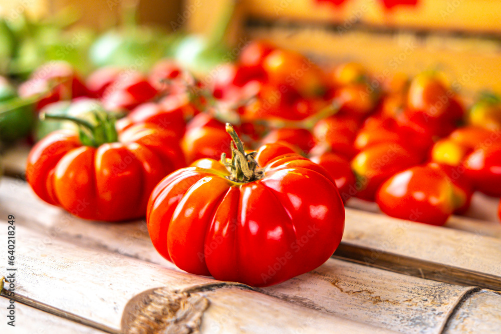 The Red Tomato Wonderland: An Immersive Farm Experience
