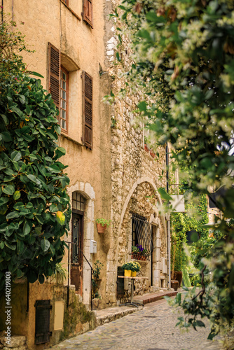 Traditional old stone houses on a street in the medieval town of Saint Paul de Vence  French Riviera  South of France