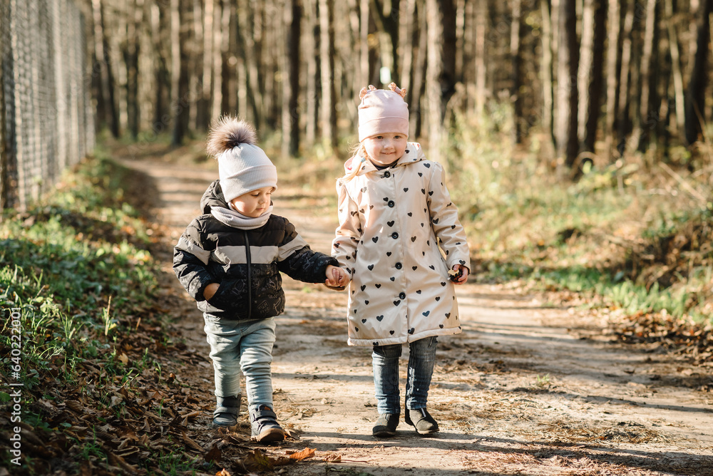Fototapeta premium Happy girl and boy hold hands walking at sunset in autumn park. Children walk in background of golden bokeh near trees in forest. Autumn photo, start winter. Kids in warm clothes walking outdoors.