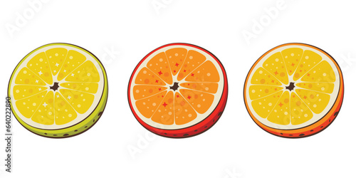Orange isolated vector illustration. Fruits colorful illustrations isolated on white background.  Fruit collection. 