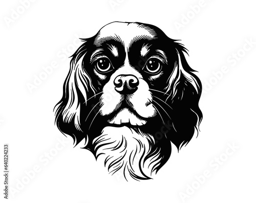 Wallpaper Mural cavalier king charles spaniel dog portrait