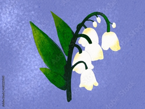 Lilly of the velley illustrations background  photo