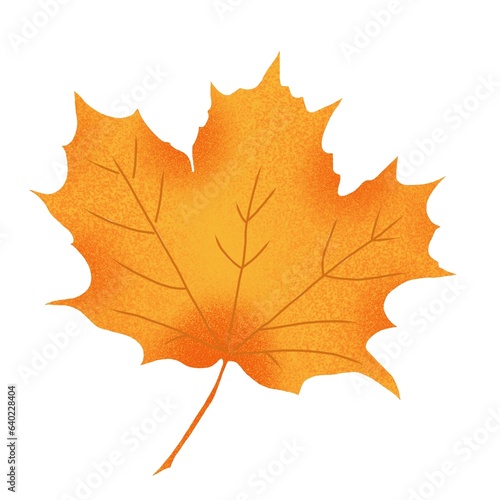 Autumn leaves. Digital illustration on the theme of autumn. Hand-drawn, high resolution, white background, isolates.