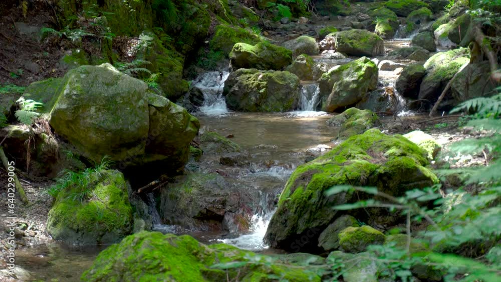 夏の小川(晴れ) 夏の小川(晴れ)
