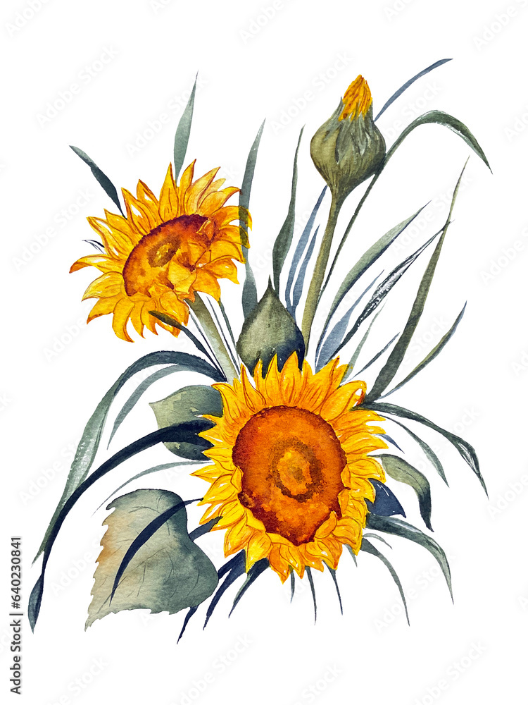 Naklejka premium Bouquet with sunflowers and dried flowers. Watercolor illustration on the theme of summer and autumn. Hand-drawn, high resolution, white background, isolates.