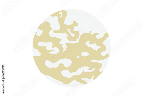 月　満月　月光　銀色