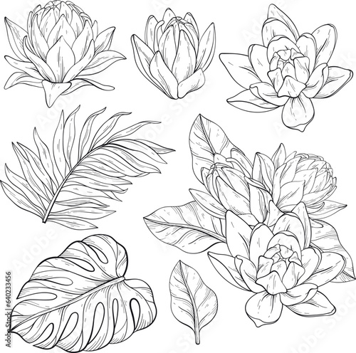 Black and white Lily flowers, monstera and palm