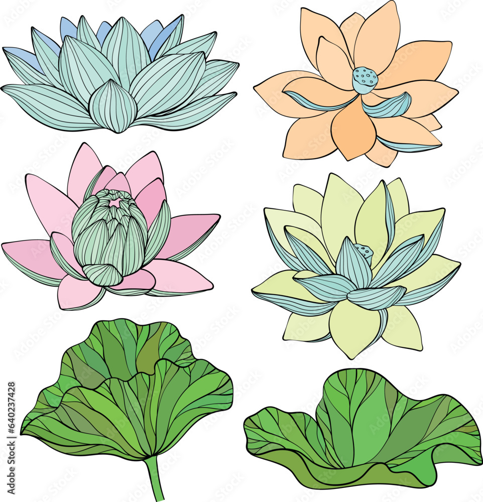 Seamless pattern with pink lotus.