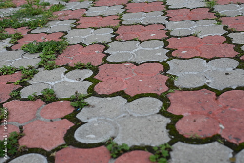 Abandoned tile as a backdrop, Grass growing through tile seams, urban sustainability, grey tile and greenery, grass, green parking,
