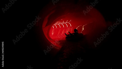 Fotografie Young Girl Riding Swim Tube Water Slide in Water Park