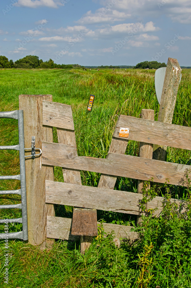 Naklejka premium Tienhoven, The Netherlands, August 23, 2023: wooden contruction enabling hikers to cross a fence in Tienhovense Plassen nature reserve