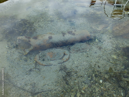 Canvas Print autour de BALESTRAND - Norvège