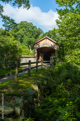 photograph of a covered bridge in the woods