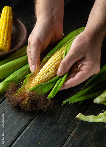 Peeling heads of corn from the shell by the hands of the cook before grilling. Work environment on the kitchen table. Copy space.