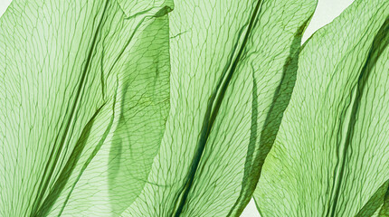 Fotobehang Hotel Groene bloemblaadjes met natuurlijke nerven  © yrabota