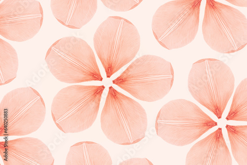 Nature pattern of abstract pink flowers from dry petals, transparent petal leaf with natural texture as nature background or wallpaper. Macro texture, floral design minimal flat lay pattern, view