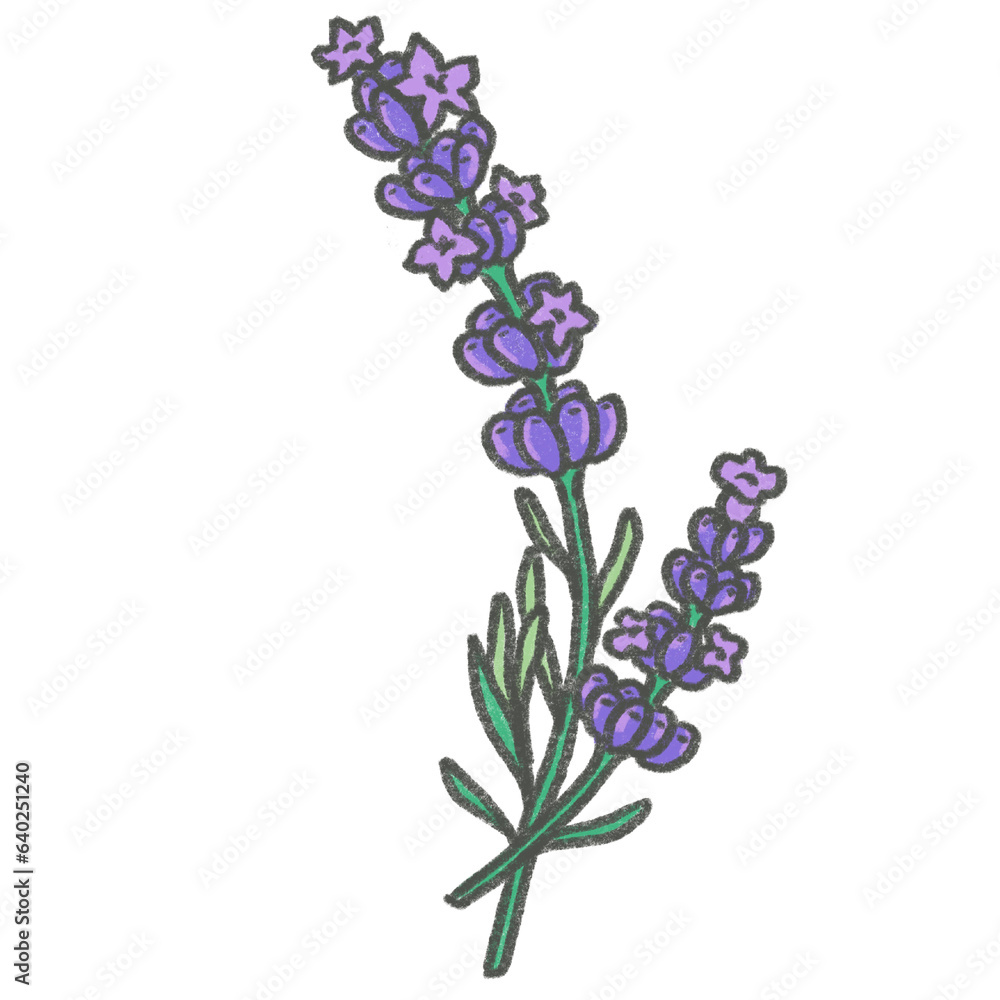 Fototapeta premium Lavender chalk paint