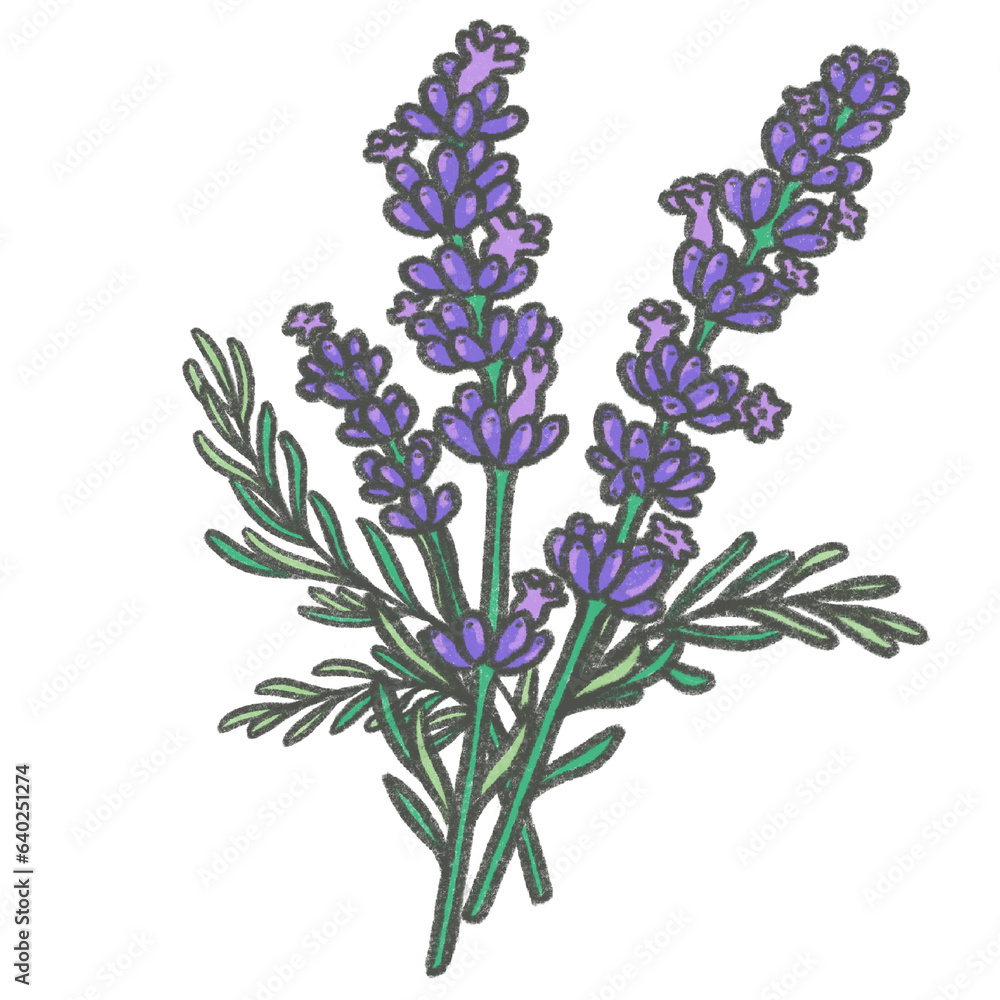 Obraz premium Lavender chalk paint