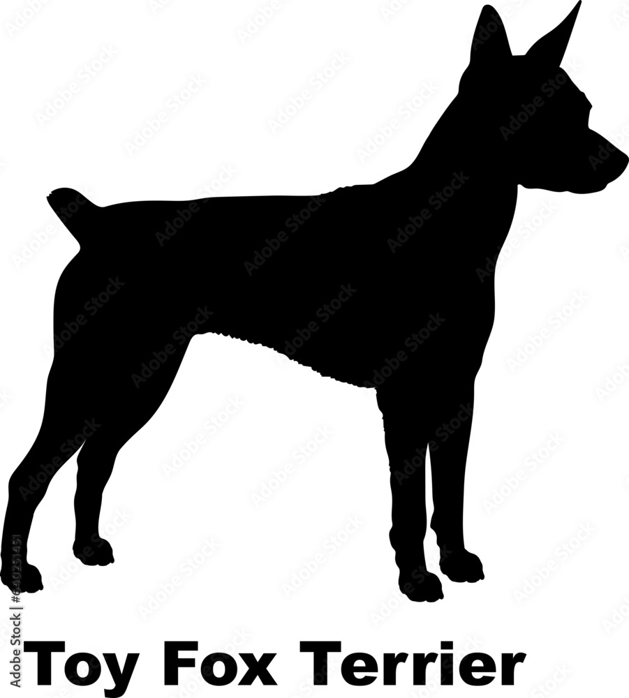 Toy Fox Terrier. dog silhouette dog breeds Animals Pet breeds silhouette