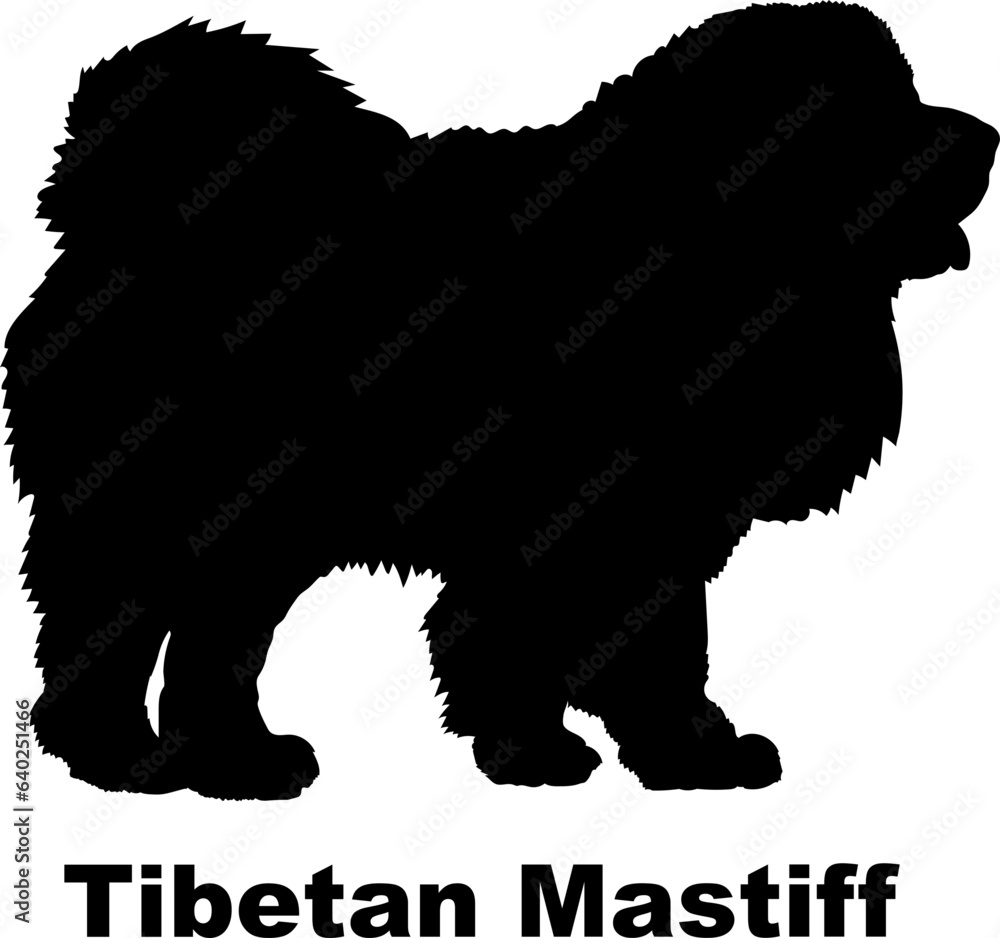 Tibetan Mastiff dog silhouette dog breeds Animals Pet breeds silhouette
