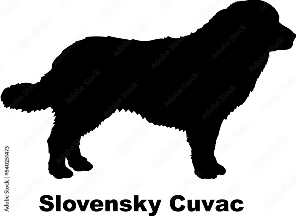 Slovensky Cuvac dog silhouette dog breeds Animals Pet breeds silhouette