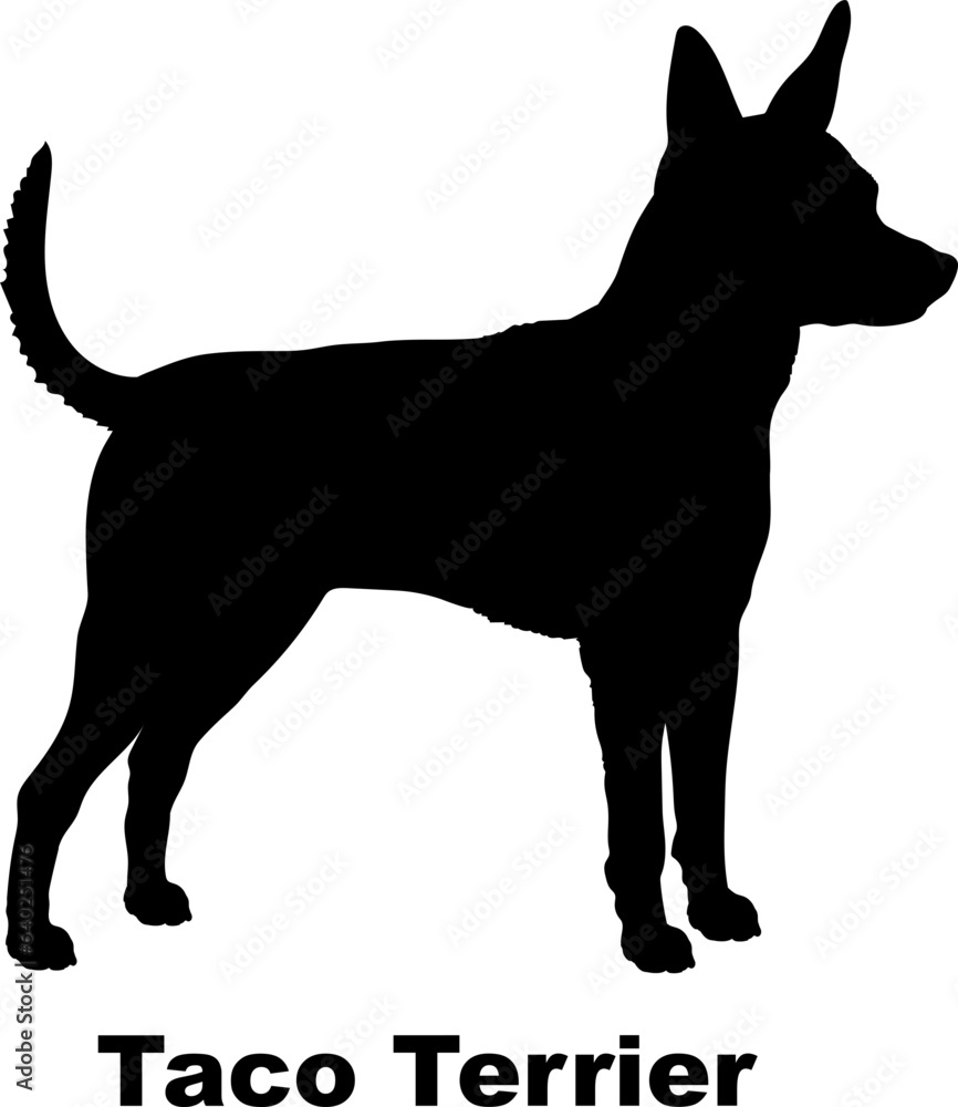 Taco Terrier. dog silhouette dog breeds Animals Pet breeds silhouette