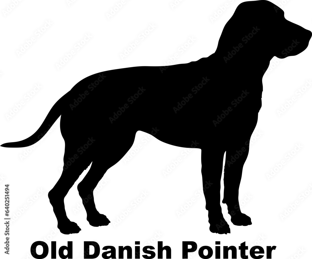  Old Danish Pointer. dog silhouette dog breeds Animals Pet breeds silhouette