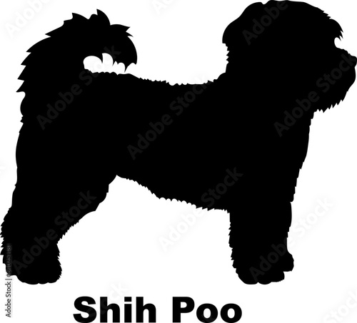 Shih Poo dog silhouette dog breeds Animals Pet breeds silhouette