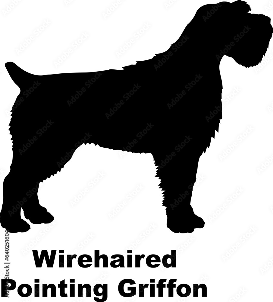 Wirehaired Pointing Griffon dog silhouette dog breeds Animals Pet breeds silhouette