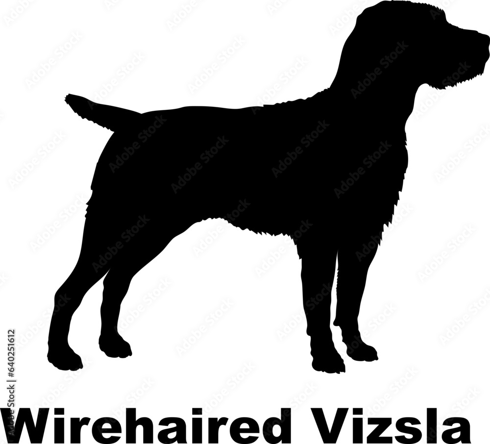 Wirehaired Vizsla dog silhouette dog breeds Animals Pet breeds silhouette
