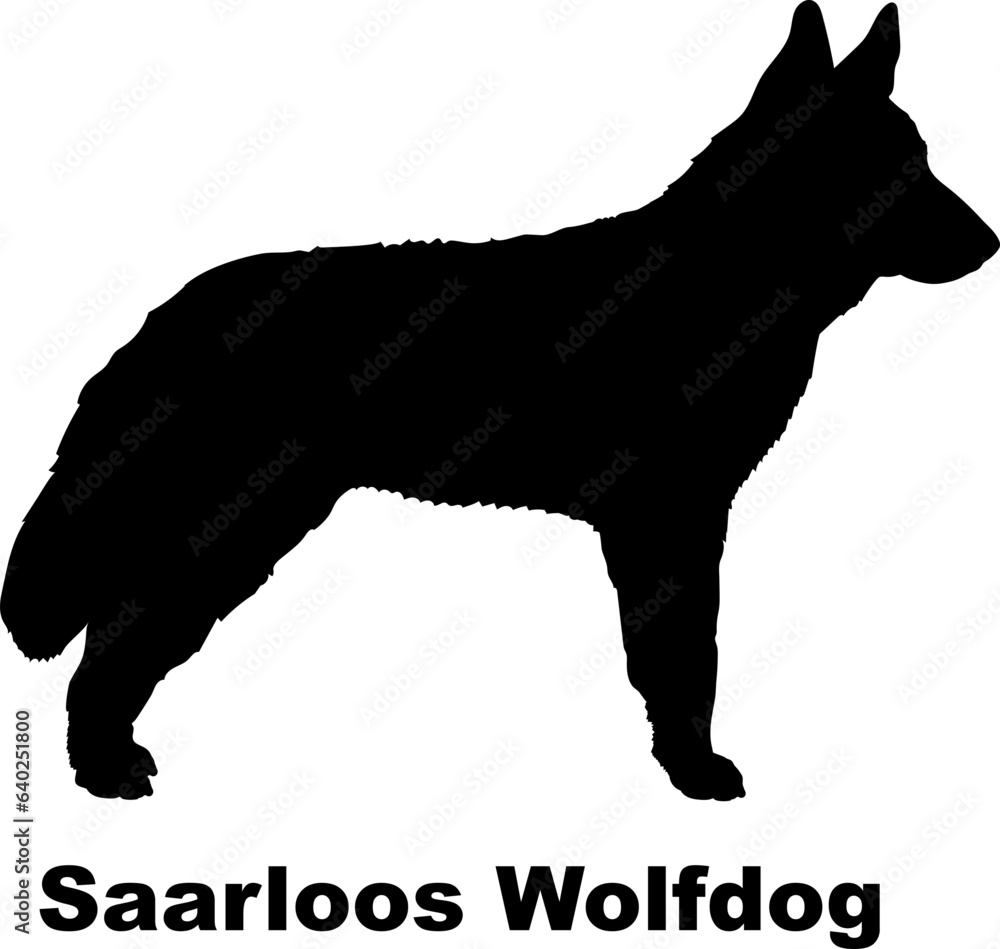 Saarloos Wolfdog dog silhouette dog breeds Animals Pet breeds silhouette