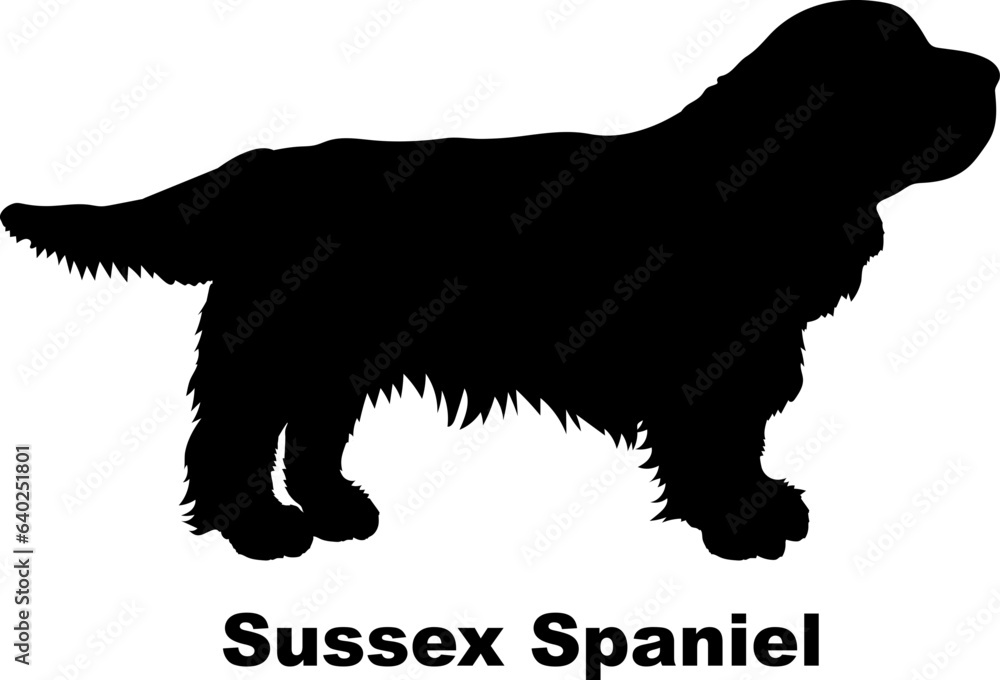 Sussex Spaniel dog silhouette dog breeds Animals Pet breeds silhouette