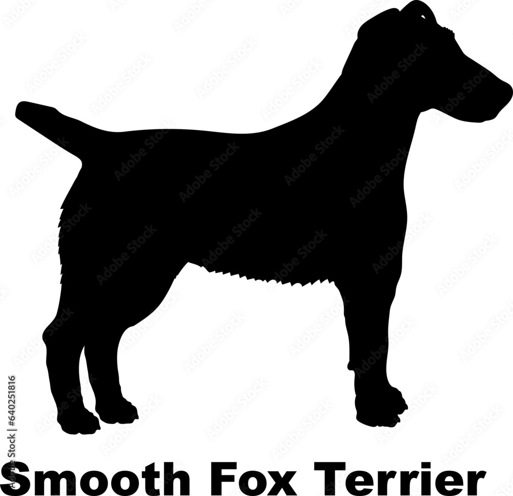 Smooth Fox Terrier. dog silhouette dog breeds Animals Pet breeds silhouette