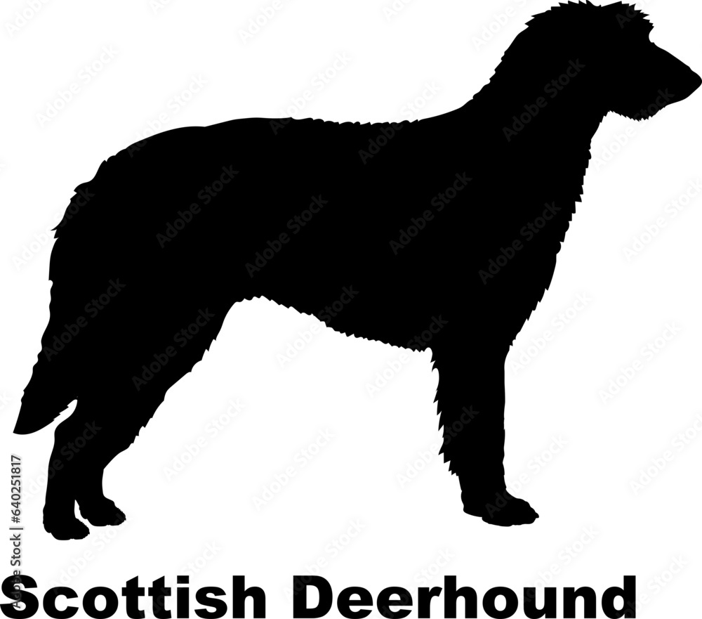 Scottish Deerhound dog silhouette dog breeds Animals Pet breeds silhouette