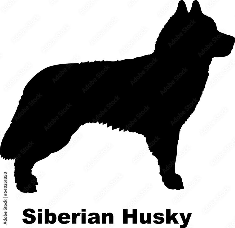 Siberian Husky dog silhouette dog breeds Animals Pet breeds silhouette