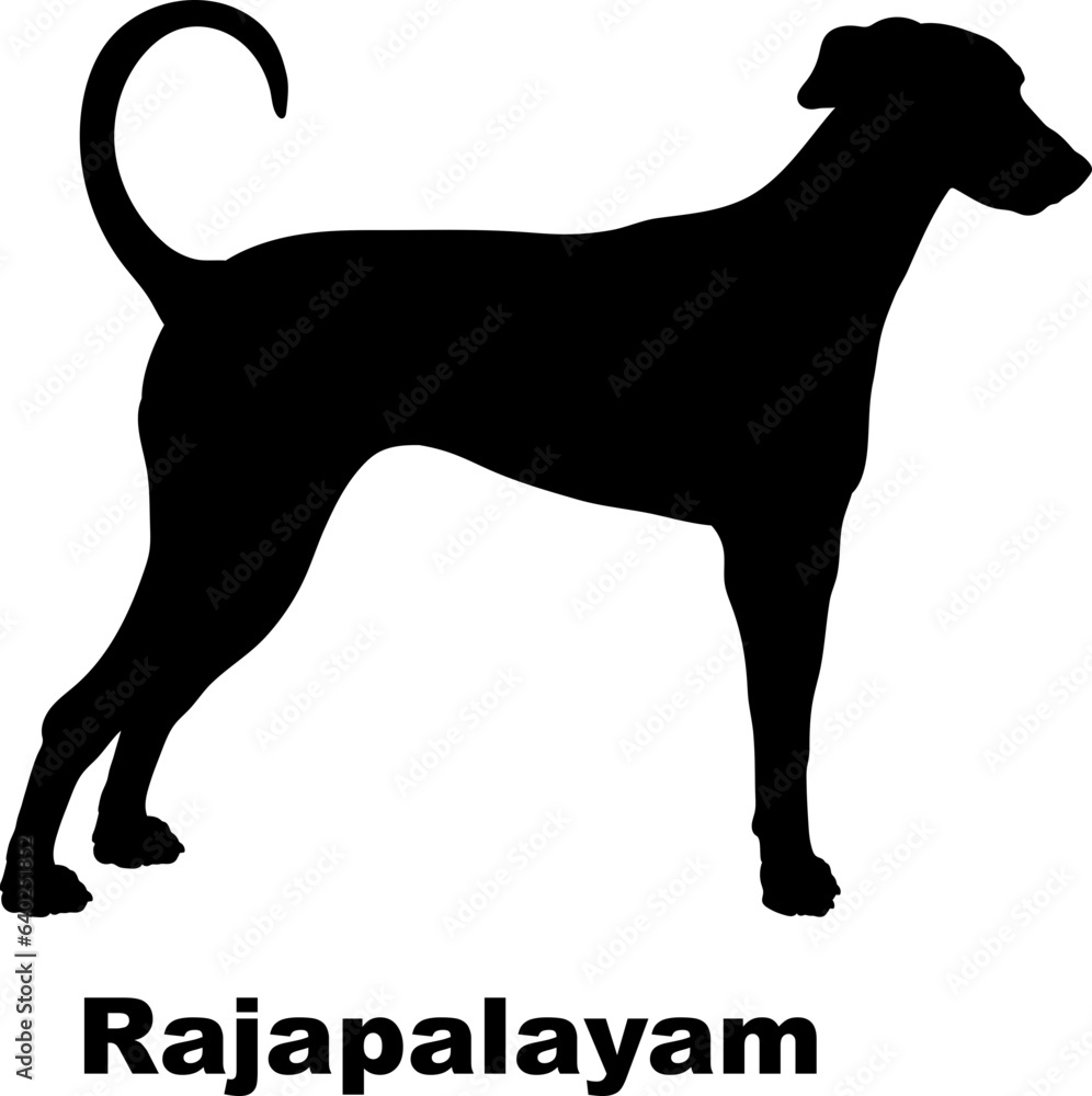 Rajapalayam dog silhouette dog breeds Animals Pet breeds silhouette
