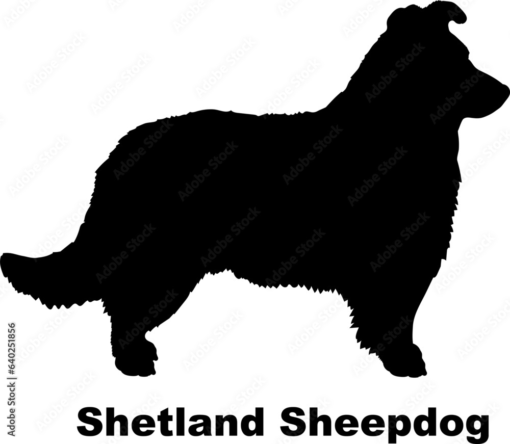 Shetland Sheepdog dog silhouette dog breeds Animals Pet breeds silhouette