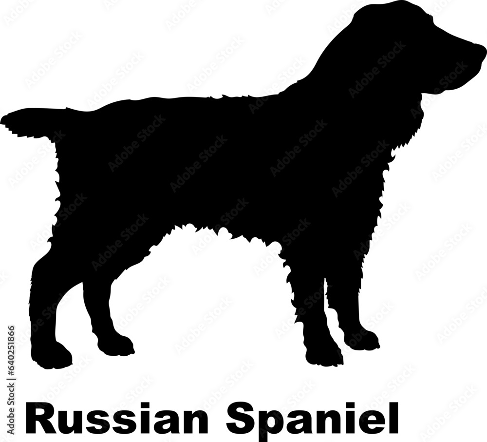 Russian Spaniel dog silhouette dog breeds Animals Pet breeds silhouette